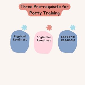 Read more about the article What are the three prerequisites of Potty Training?