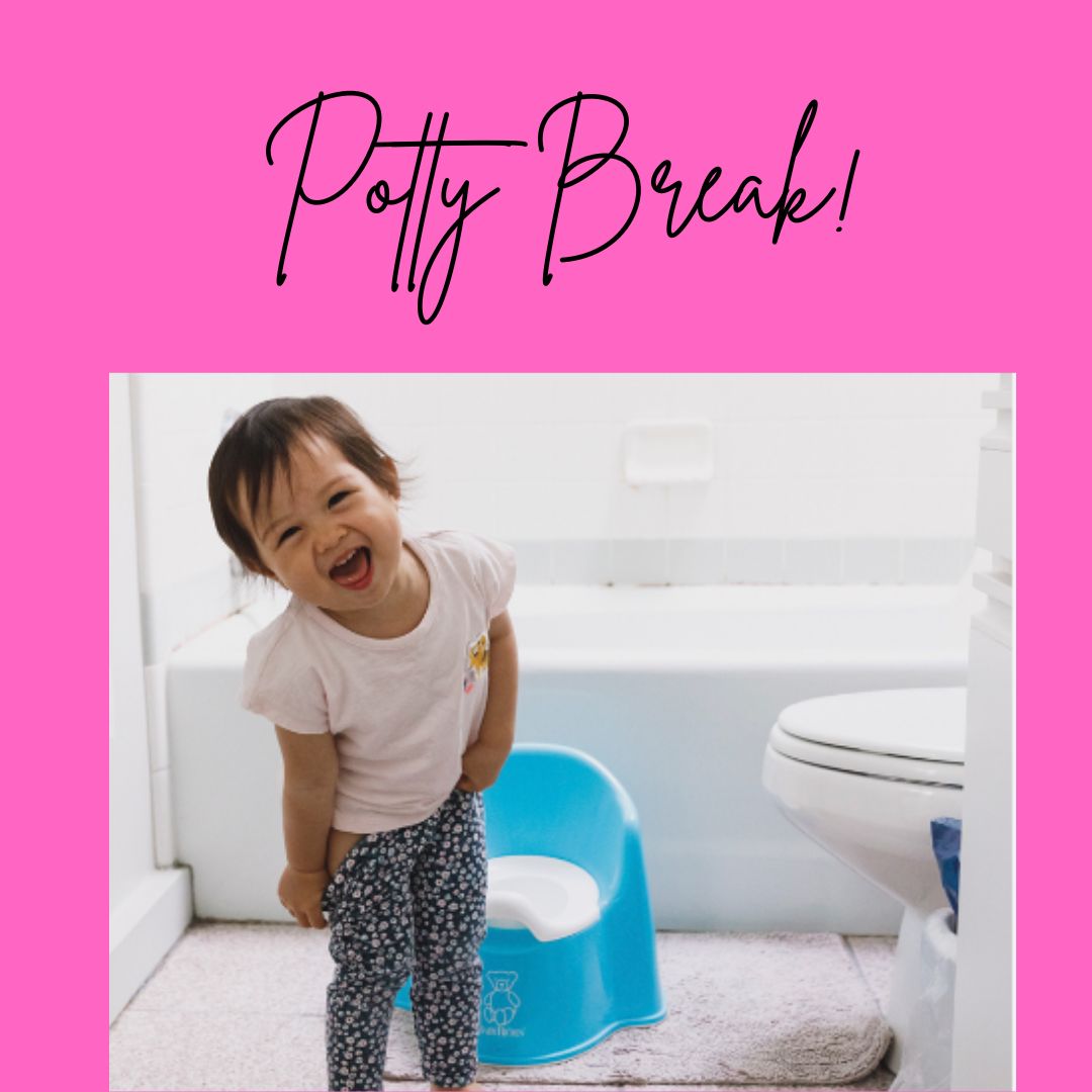 You are currently viewing Potty Training Break.